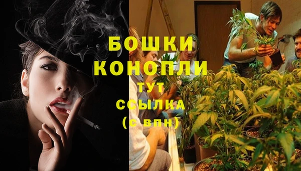 каннабис Алзамай