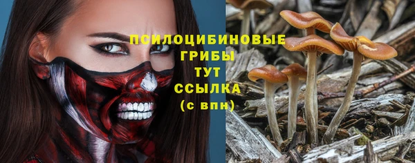 мескалин Абаза