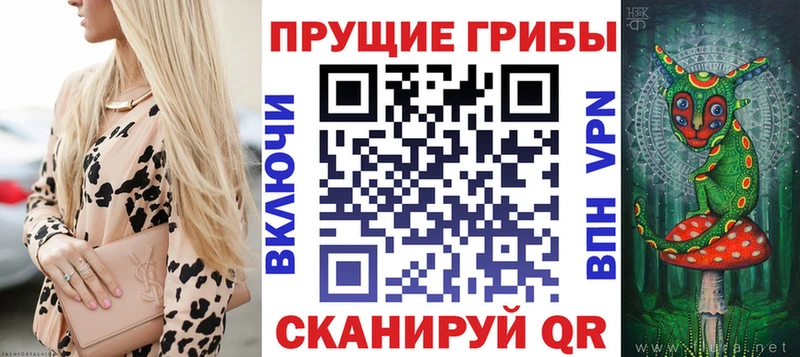 цена   Киров  Псилоцибиновые грибы Psilocybine cubensis 
