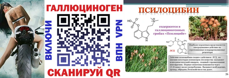 Псилоцибиновые грибы Magic Shrooms Киров